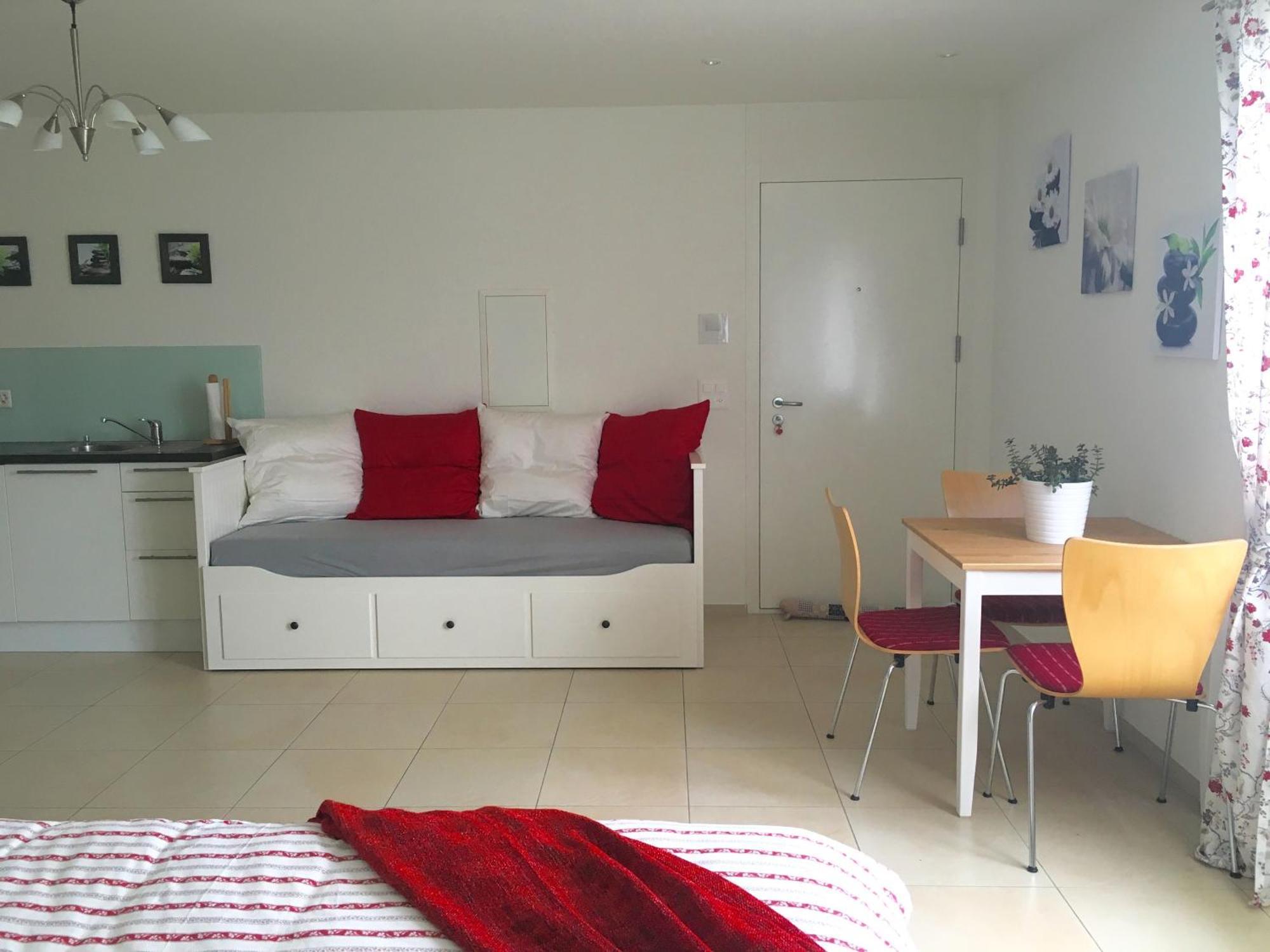 Charming Studio Near Rotsee Lucerne Kitchen/Wifi/Wasching Machine Exterior photo